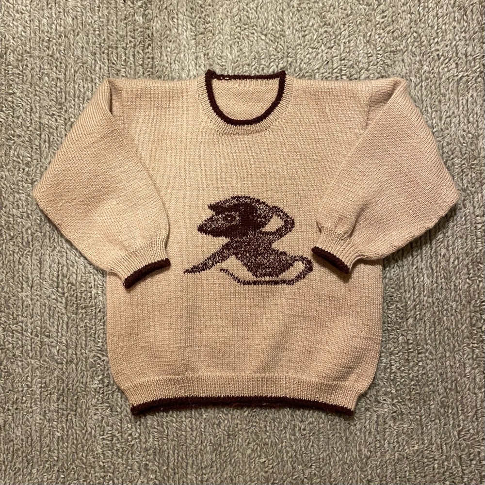 Kids Beige Sweater with Brown Trim